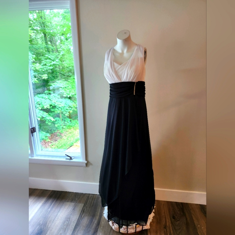 Betsy & Adam Sz 18W Formal Dress